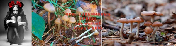 марки lsd Алексин