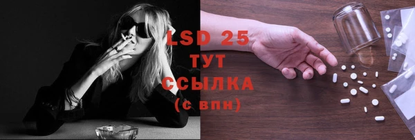индика Алексеевка